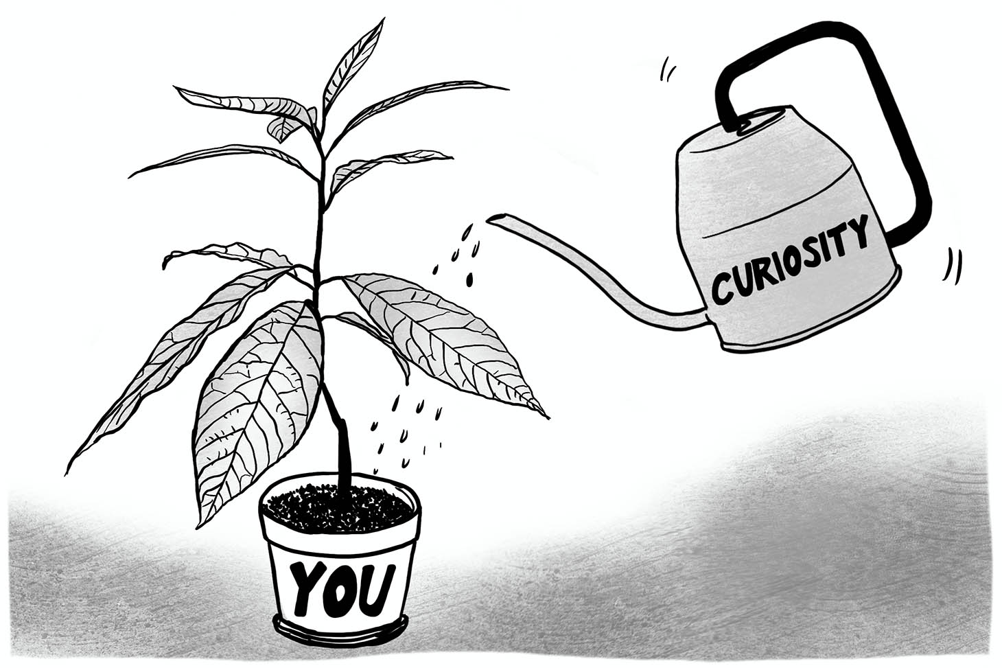 A plant being watered with curiosity so that it grows